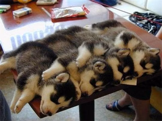 Chúc cả nhà ngủ ngon.