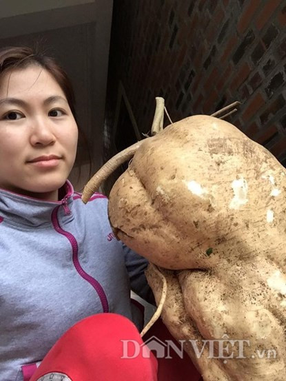 Dao duoc cu dau nang bang be 2 tuoi o Hai Phong-Hinh-3