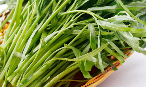 10 lọi ích của rau muóng tuyẹt vòi dén khó tin