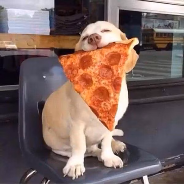 Vớ được miếng ngon. 