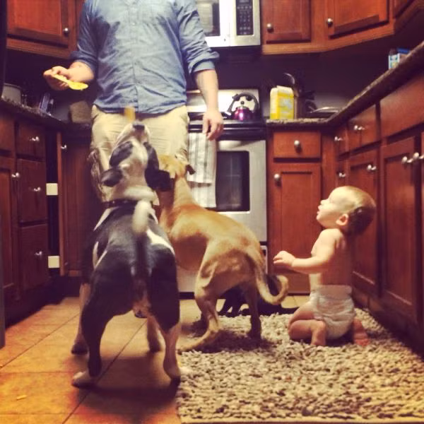 Con cũng muốn ăn!