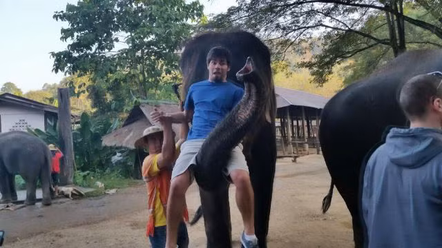 Cho tôi xuống mau!