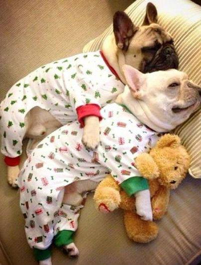 Chúc cả nhà ngủ ngon.