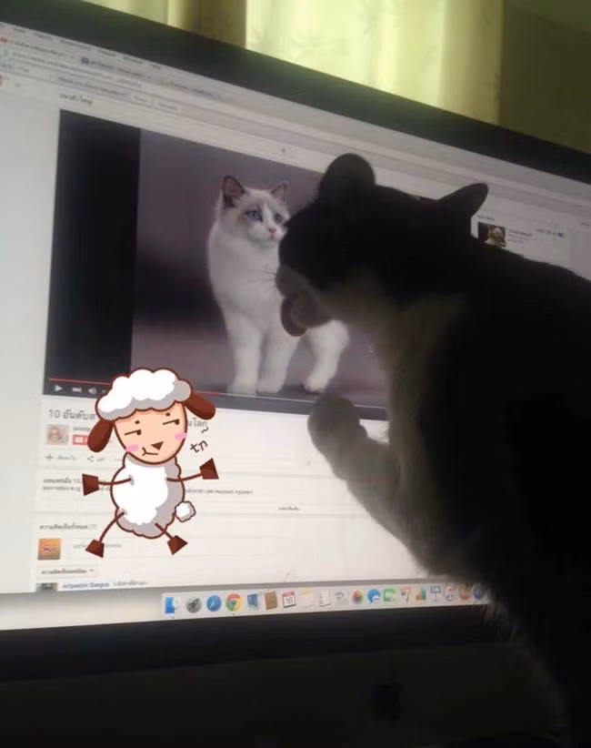 Người tình ảo.