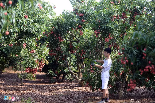 Vai thieu Luc Ngan truoc khi xuat ngoai ra nuoc ngoai.