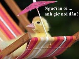 Người yêu ơi anh có biết em nhớ anh nhiều lắm!