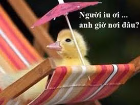 Người yêu ơi anh có biết em nhớ anh nhiều lắm!