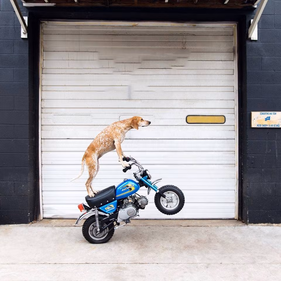 Vượt lên mọi đẳng cấp.