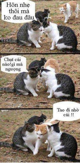 Dự là có "biến".