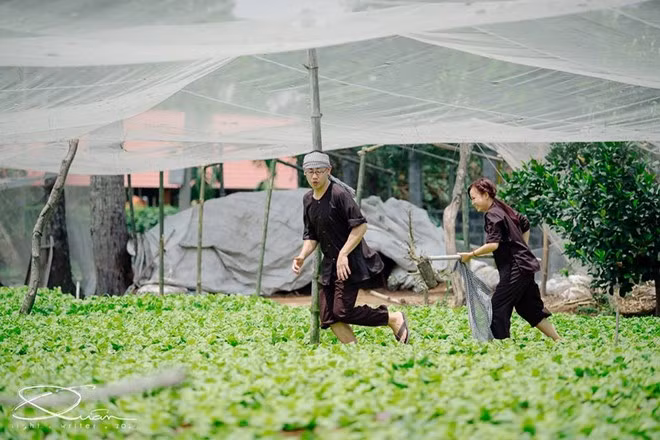 Ý tưởng chủ đạo của bộ ảnh là sự giản dị, chất phác của người dân Việt Nam. Ngoài áo cưới truyền thống, cặp đôi này còn khoác lên mình chiếc áo bà ba đầy duyên dáng của người dân Nam Bộ.