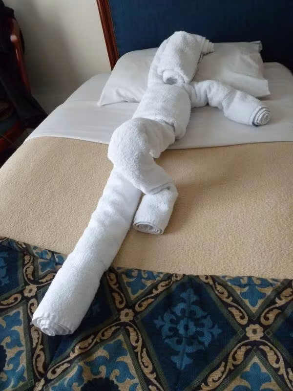 Nghệ thuật gấp khăn.