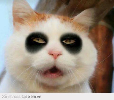 Thức trắng đêm.