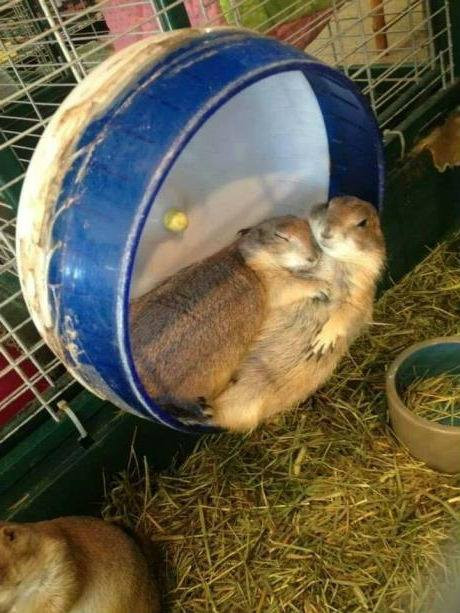 Chỉ cần thế này thôi.