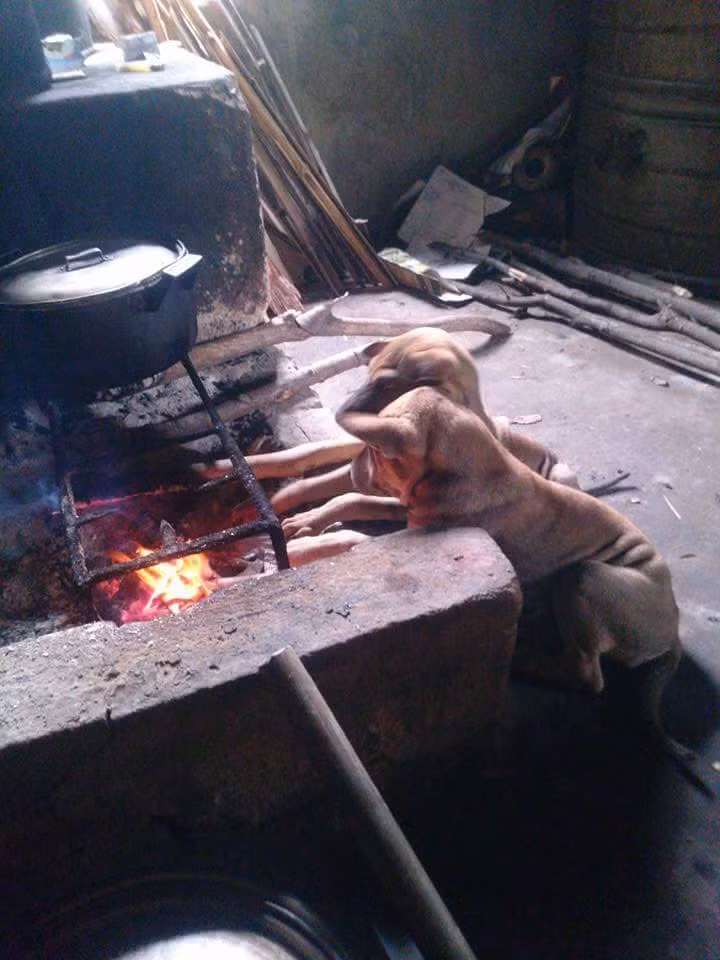 Mùa đông không lạnh.