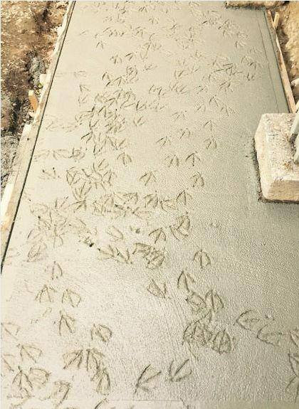 Không còn gì để nói.