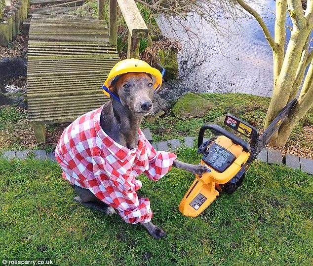 Làm vườn vất vả.