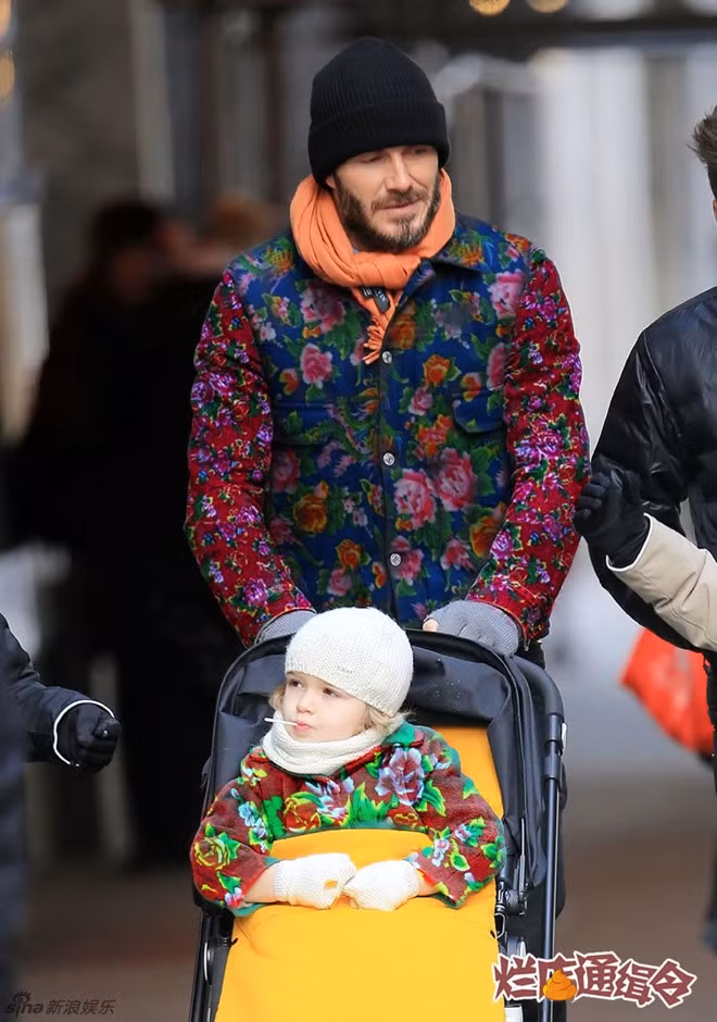 Harper là thành viên "sành điệu" nhất nhà khi liên tục được đổi họa tiết và màu sắc.