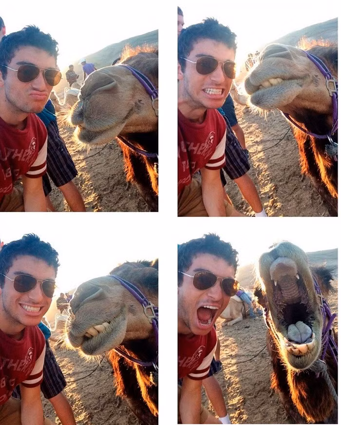 Phối hợp ăn ý.