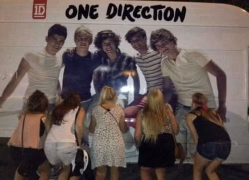 Fan nữ cuồng One Direction.