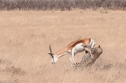  Kevin Wilson cho biết, khoảnh khắc này chỉ diễn ra trong vòng 20 giây. 