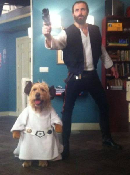 Tư thế sẵn sàng.