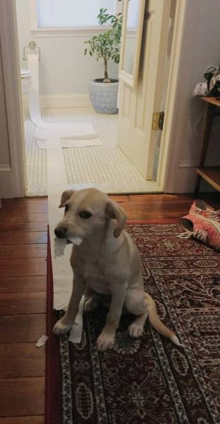 Bị bắt quả tang.