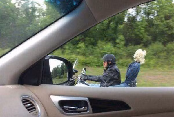 Người đồng hành có 1-0-2.