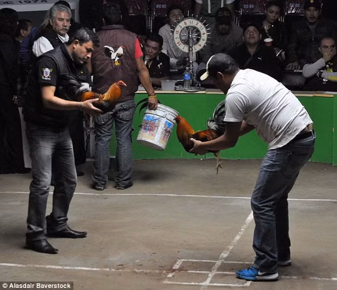 Nghi thức trước trận đấu.