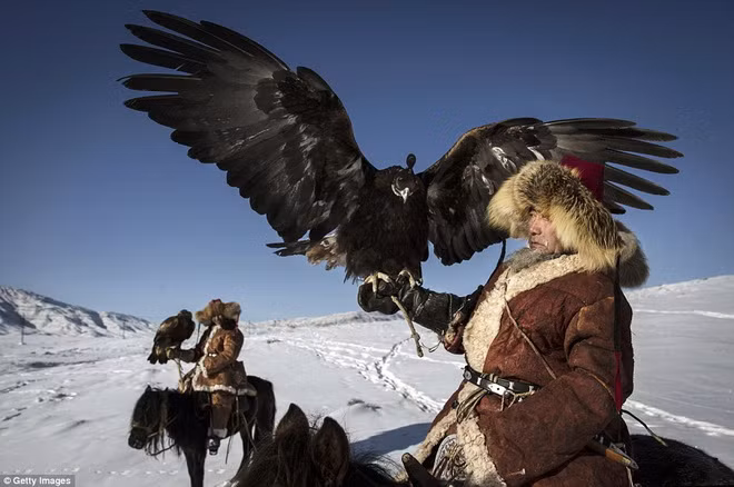 Lễ hội được tổ chức nhằm thúc đẩy và phát triển truyền thống đi săn với đại bàng.