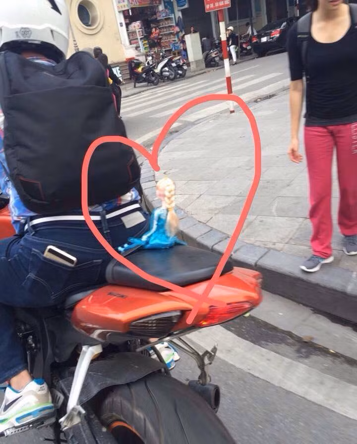 Đưa "gấu" đi dạo.