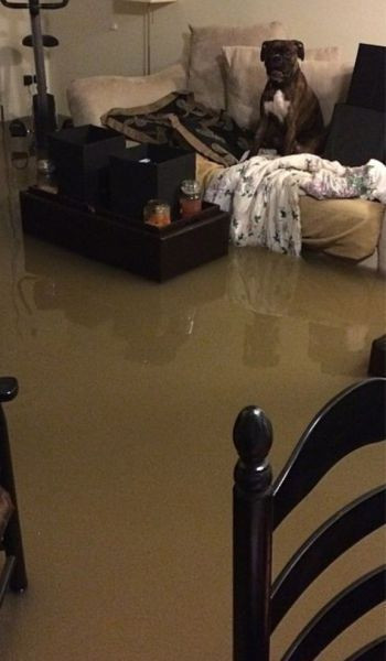 Bao giờ cho hết mùa mưa.