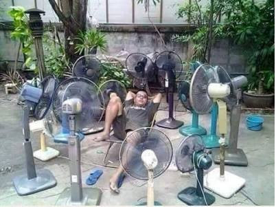 Đại gia quạt điện.