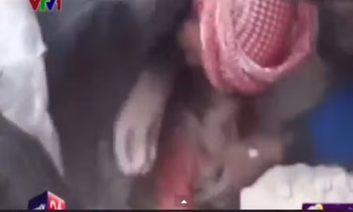 Chuyẻn dọng 24h ló bịch: Bién em bé Syria thanh... em bé Nepal