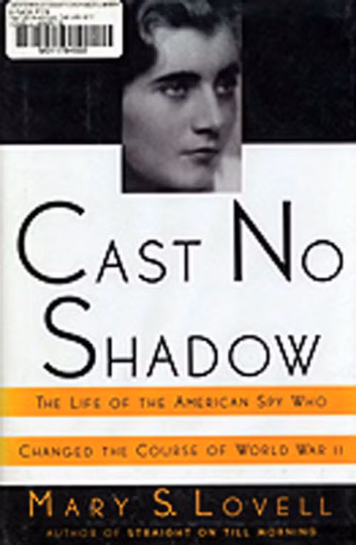 Nu diep vien lam nhieu dang may rau “chet dung”-Hinh-2