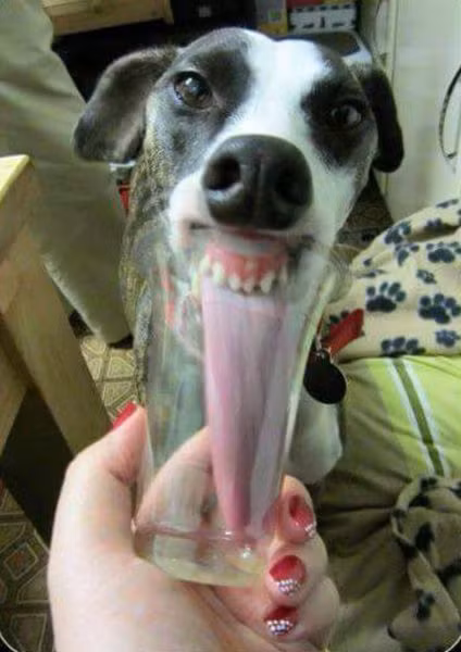  Không có việc gì khó. 