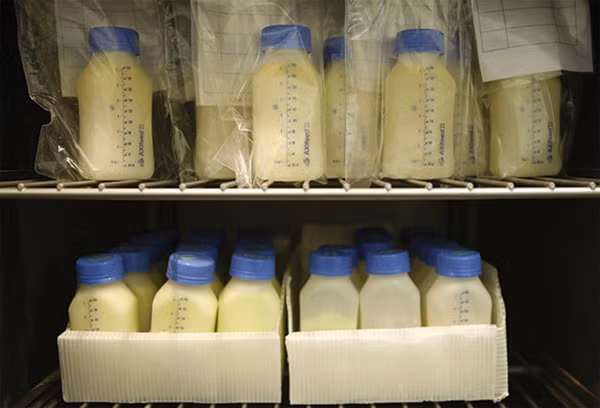 3. Sữa mẹ. Sữa mẹ là tốt nhất, nhưng sẽ không phải như vậy nếu nó đến từ trên mạng, vì nó không được kiểm soát. Chúng có thể có chứa virus (ví dụ như viêm gan hoặc HIV), vi khuẩn (nếu chúng không được bảo quản và vận chuyển đúng cách), chất cồn, dư chất của các loại thuốc phải uống theo đơn và cả các loại thuốc bất hợp pháp. Thêm nữa, kết quả kiểm tra sữa mẹ bán qua mạng ở Mỹ cho thấy 10% trong số đó là sữa bò.