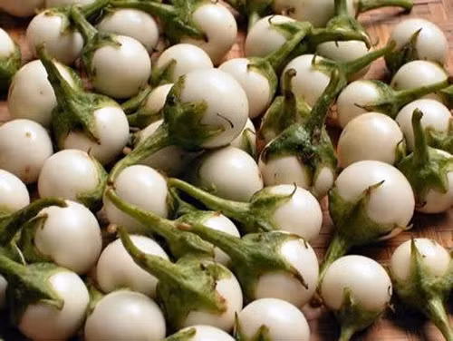 Theo Đông Y cà có chứa tính ngọt, hàn, có tác dụng tiêu viêm, nhuận tràng khá tốt. Cà còn được dùng để chế biến thành các bài thuốc thanh nhiệt, giải độc cho người bị sốt rét, thương hàn.