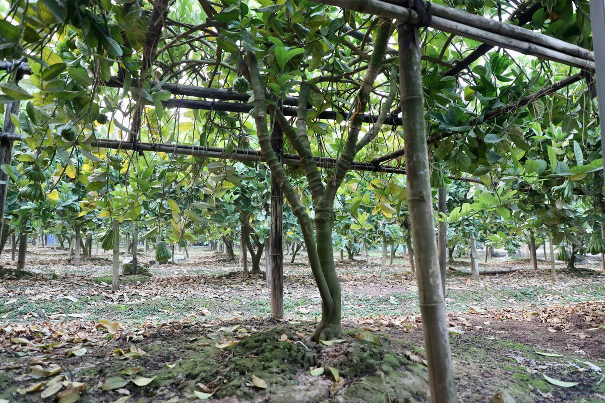 View - Hải Phòng xây dựng kịch bản, triển khai ứng phó bão số 3 | Báo Tri thức và Cuộc sống - TIN TỨC PHỔ BIẾN KIẾN THỨC 24H