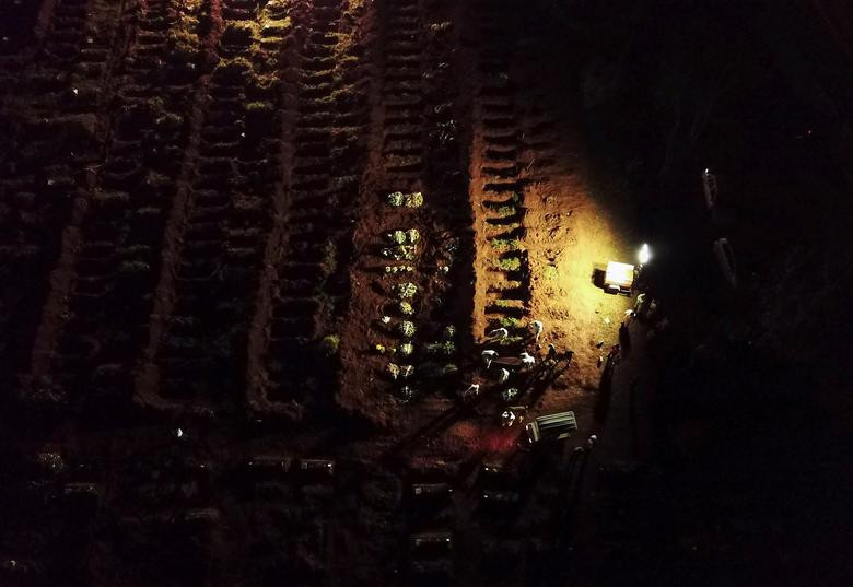 Nghĩa trang Vila Formosa là nơi chôn cất thi thể của nhiều nạn nhân tử vong vì dịch bệnh COVID-19 ở Brazil.