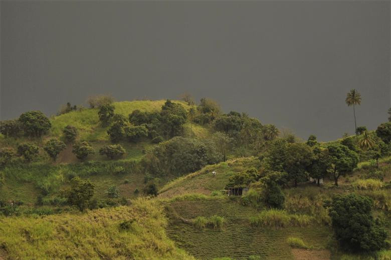 Nhiều khu vực ở quốc đảo Saint Vincent đã bị bao phủ một màu đen xám của tro bụi sau khi núi lửa La Soufriere phun trào.