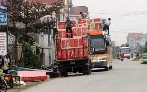 Mỗi chuyến phế liệu từ Lào về lại được tập kết ở các đại lý của Diễn Hồng (xã cạnh đó). Sau công đoạn qua phân loại, tái chế phế liệu được đưa trở lại Lào bán với giá cao. Dần dần, Diễn Tháp phất lên nhanh chóng và trở thành một trong những xã giàu nhất tỉnh Nghệ An. Ảnh: Đất Việt.