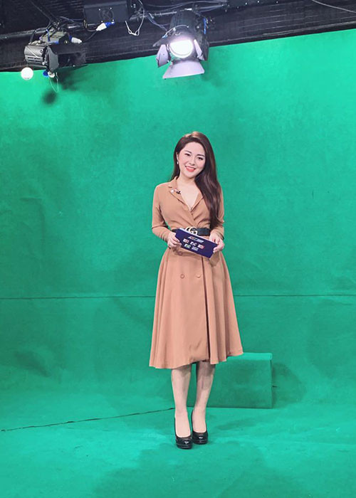 Đến tháng 2 năm nay, vì bệnh tật có chiều hướng xấu đi, Diệu Linh phải nghỉ việc tại đài và nhập viện điều trị.