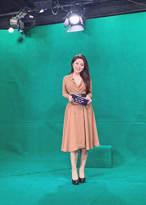 Đến tháng 2 năm nay, vì bệnh tật có chiều hướng xấu đi, Diệu Linh phải nghỉ việc tại đài và nhập viện điều trị.