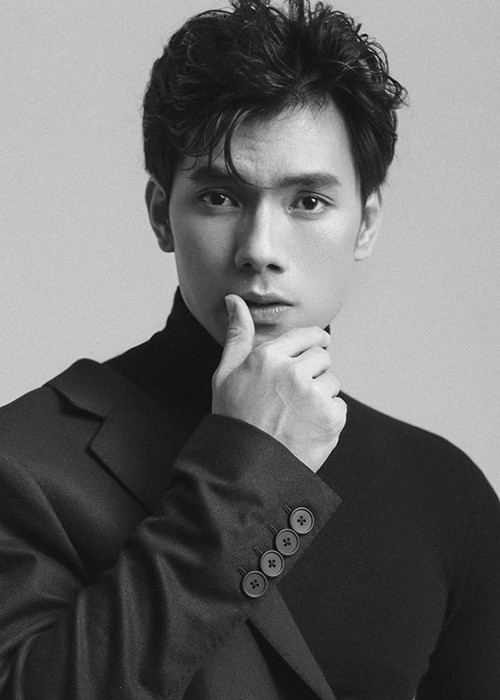 Nam chính phim "Tình yêu và tham vọng" đóng không ít phim như "Ngày ấy mình đã yêu", "Đảo của dân ngụ cư", "Cô Thắm về làng".