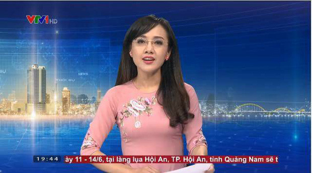 Hoài Anh sinh ra trong một gia đình gia giáo khi có bố là cán bộ khoa học về công nghệ thông tin, mẹ nguyên là giảng viên đại học sinh ra tại Hà Nội nhưng hiện đang công tác tại văn phòng Bộ Giáo dục và Đào tạo ở TP. HCM. Năm 2008, cô chính thức gia nhập đội ngũ BTV nhà đài khi "cầm trịch" chương trình "Thời sự 19h" cùng nhiều đồng nghiệp khác.