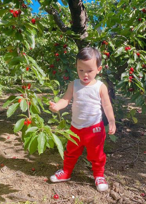 Trên trang cá nhân của bé Maximus, nhiều fan để lại bình luận mong Phạm Hương sớm mở lại Instagram.