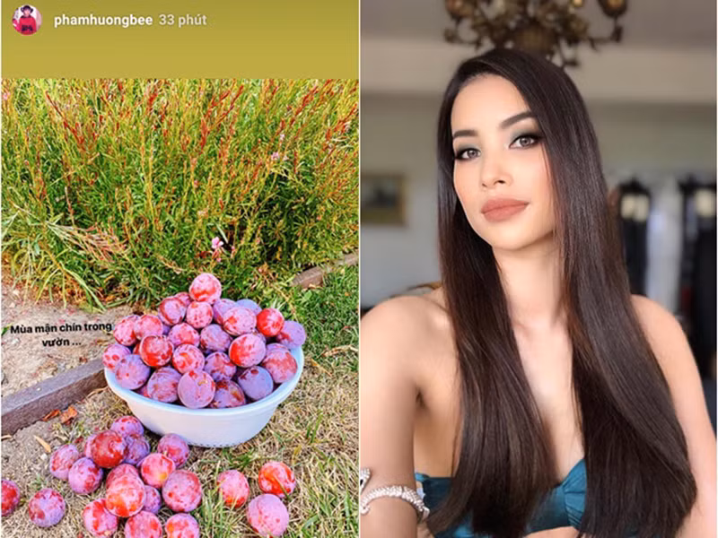 Cách đây ít ngày, Phạm Hương mở lại trang cá nhân, đăng tải hình ảnh trái cây trong vườn nhưng không lộ diện.