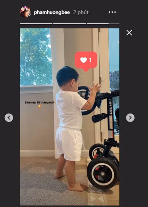 Bé Maximus sắp tròn 18 tháng tuổi nhưng bố của cậu nhóc vẫn chưa lộ diện.