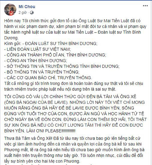 Bao mau buc xuc dap tra bo me Mai Phuong, lam don to cao-Hinh-6