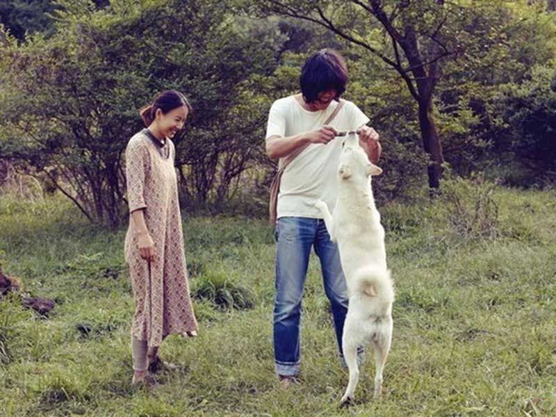 Là nữ hoàng Kpop, sau khi lấy chồng, tình tin đồn của Bi Rain lại lựa chọn cuộc sống vô cùng bình dị ở đảo Jeju.